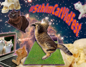 catvidfest-416